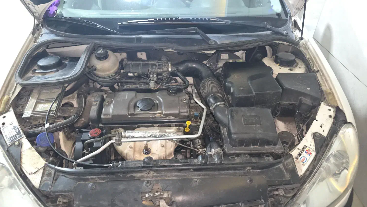 پژو ۲۰۶ مدل ۸۱|خودرو سواری و وانت|تبریز, |دیوار