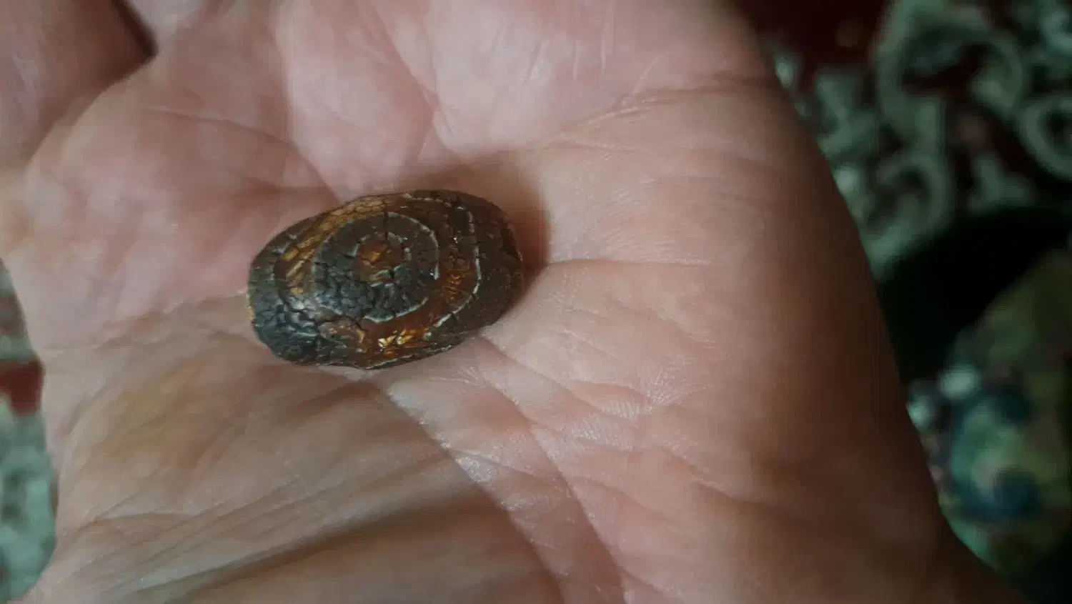 مهره عقیق تبتی|کلکسیون اشیاء عتیقه|تهران, زنجان جنوبی|دیوار