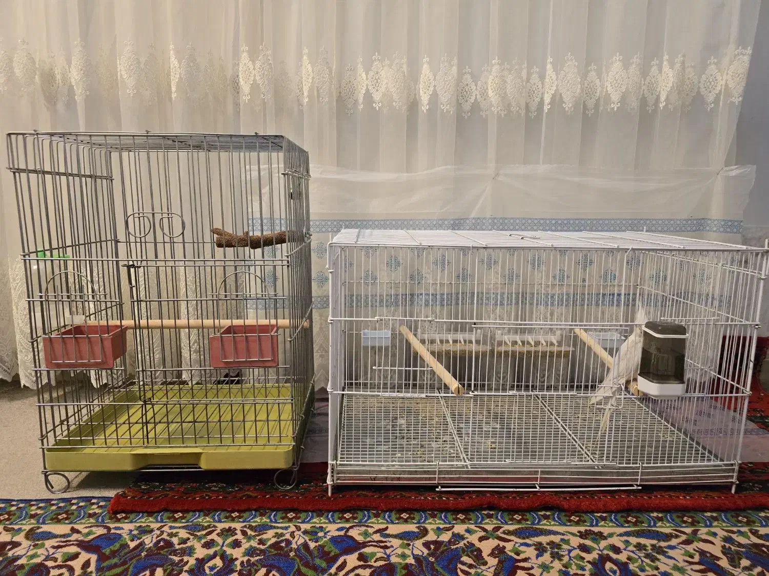 قفس|لوازم جانبی حیوانات|شیراز, شهرک قمشه|دیوار