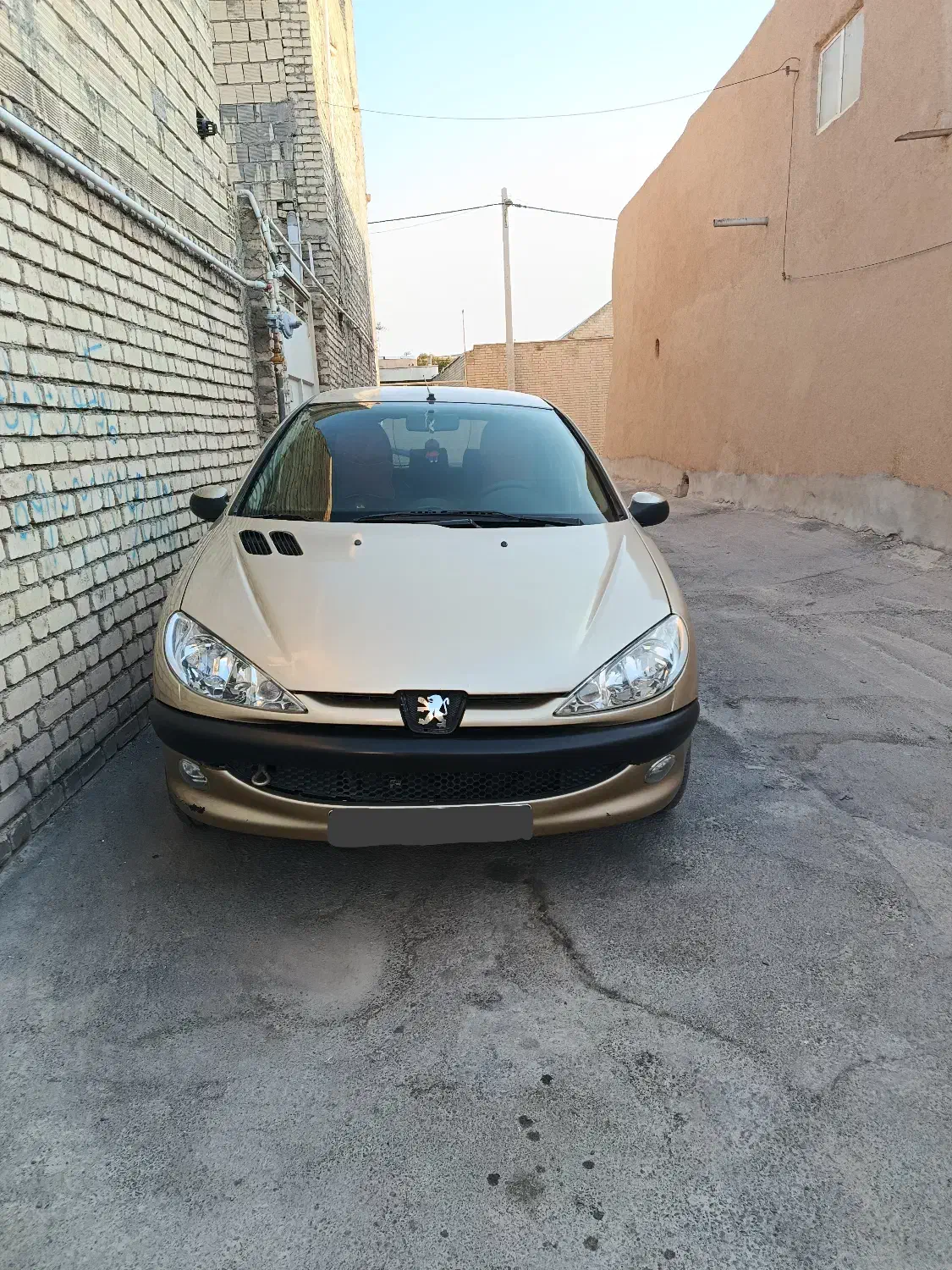 ماشین 206|خودرو سواری و وانت|تیران, |دیوار