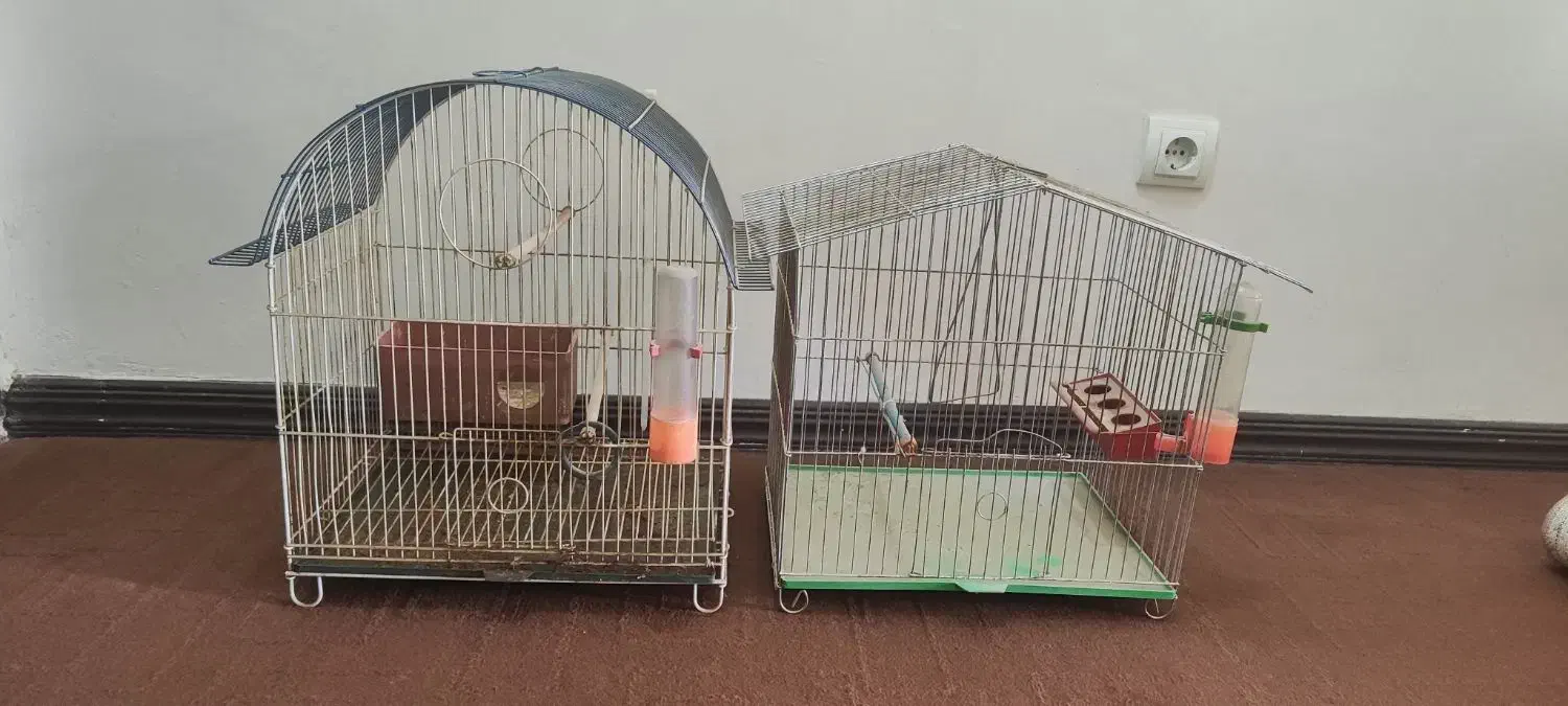 قفسه و دو عدد قفس|کتابخانه، شلف، قفسه‌های دیواری|صدرا-فارس, فاز ۱|دیوار