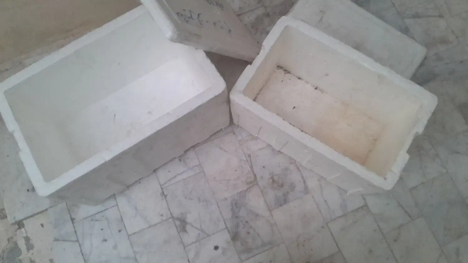 یخچال مسافرتی|کوهنوردی و کمپینگ|شیراز, میرزاکوچک خان|دیوار