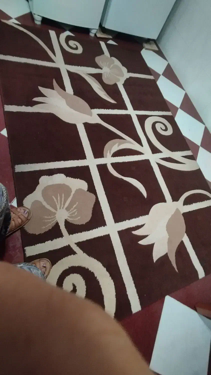 فرش|فرش|شیراز, شهرک مطهری|دیوار