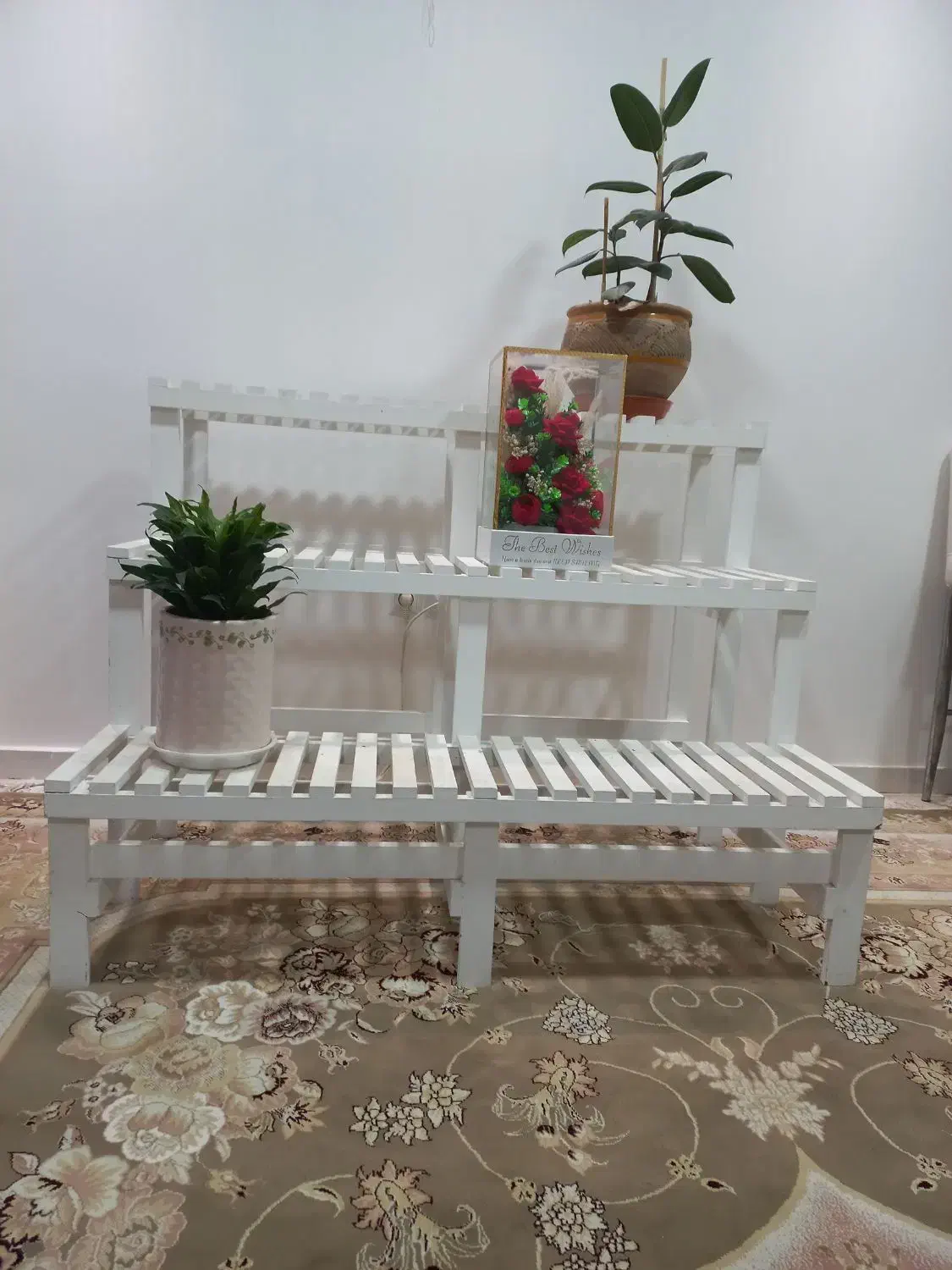 استند گل|گل و گیاه طبیعی|دزفول, |دیوار