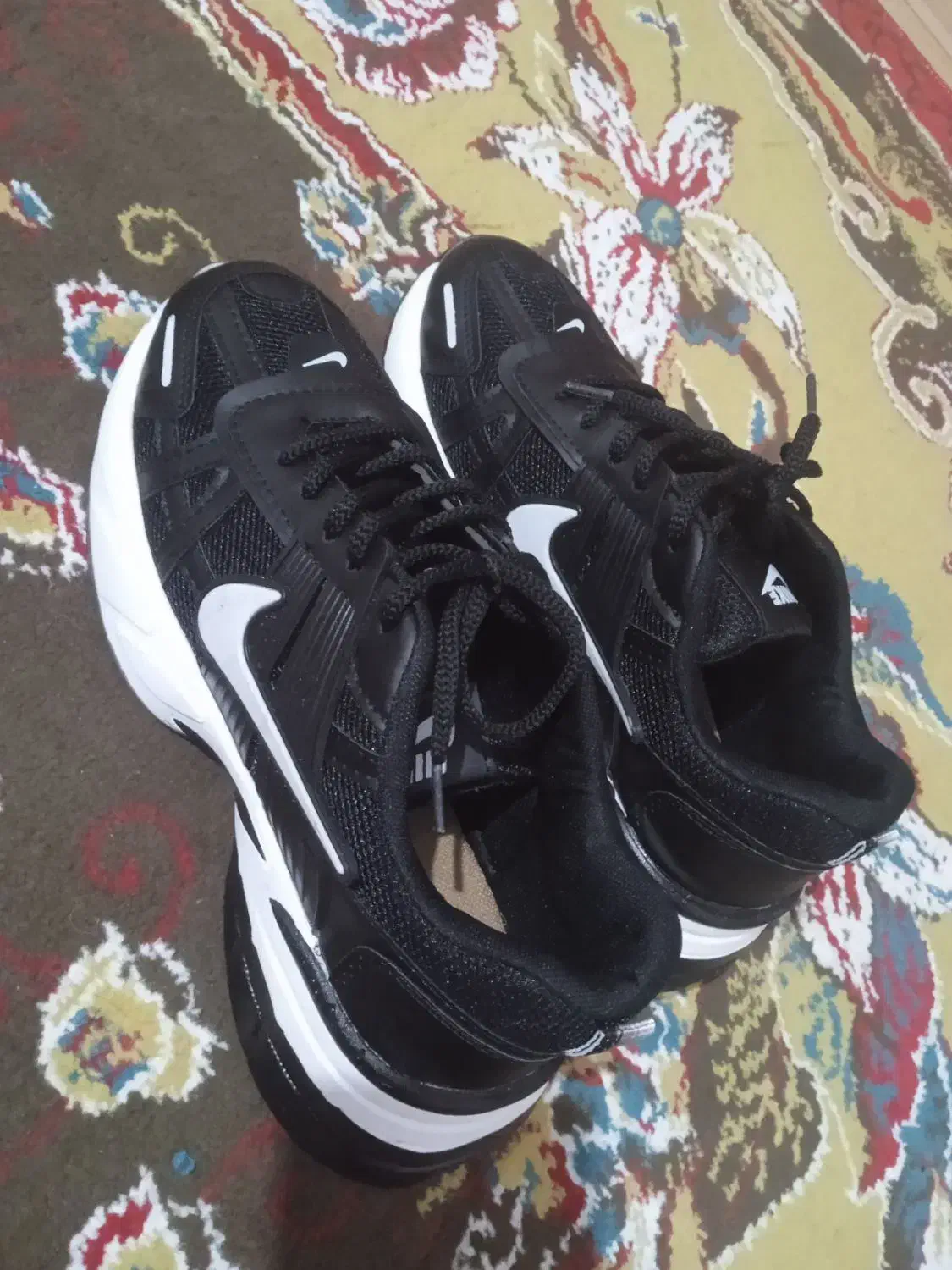 کفش|کیف، کفش، کمربند|مشگین شهر, |دیوار