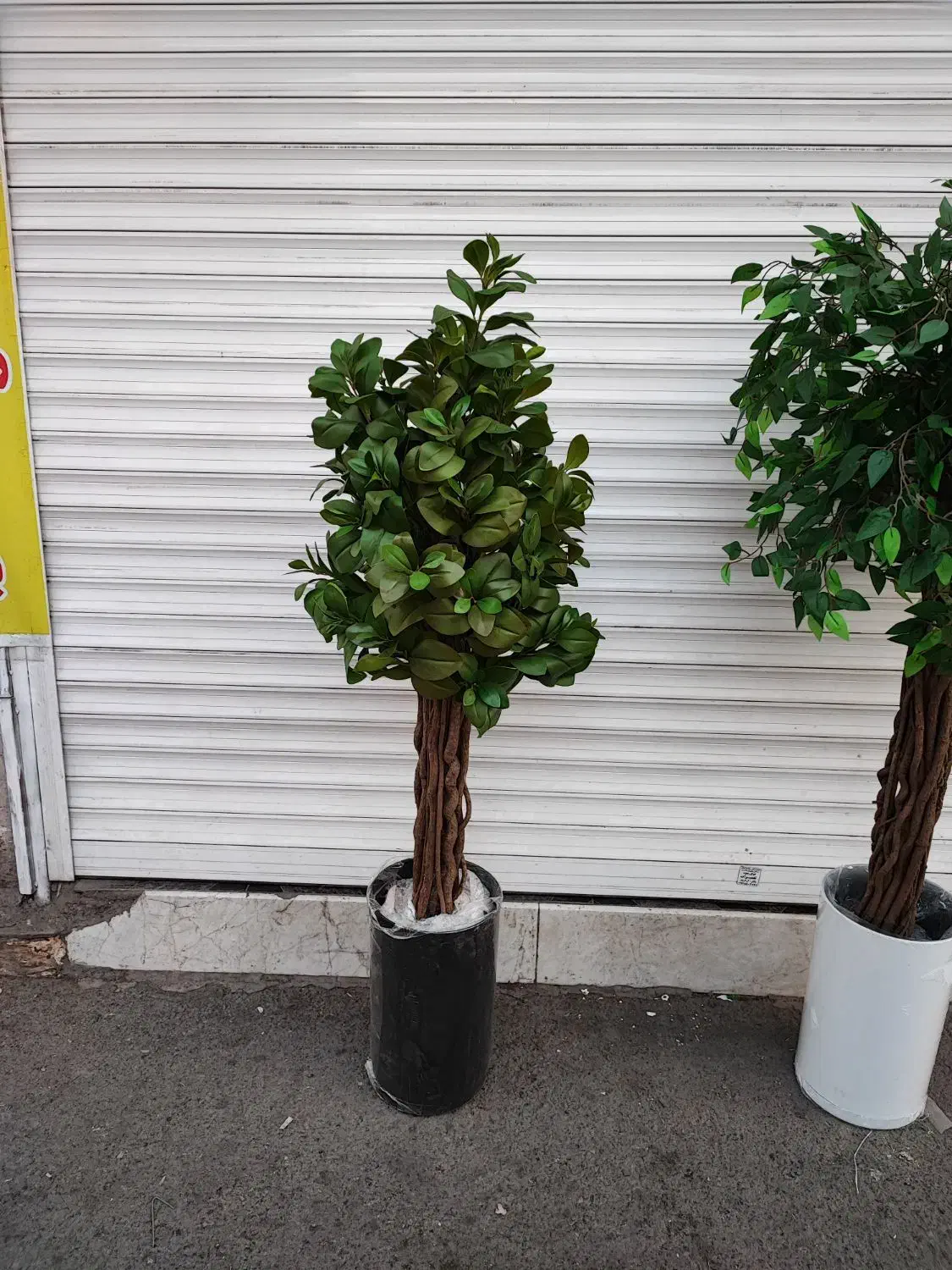 درختچه خارجی مصنوعی|گل مصنوعی|قم, نیروگاه|دیوار