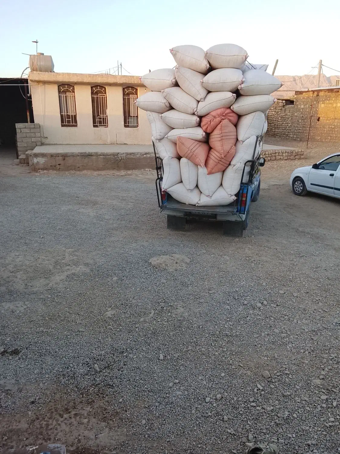 کاه|لوازم جانبی حیوانات|آبدانان, |دیوار