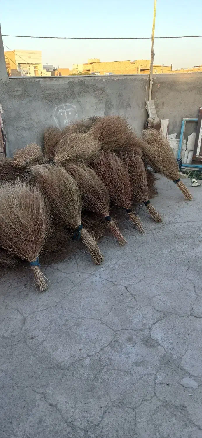 نظافت|لوازم نظافت|سبزوار, شرق کال میانی|دیوار