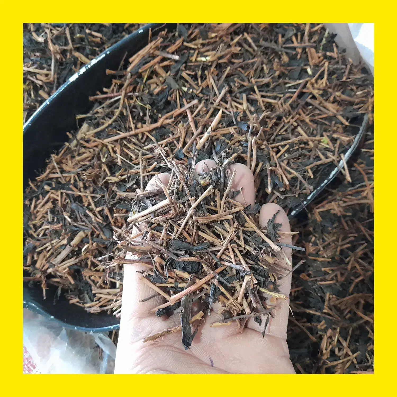 چای چوب قلم خانه سه (کد۱۲) قیمت ۶۹ واقعی|خوردنی و آشامیدنی|لاهیجان, لیالستان|دیوار