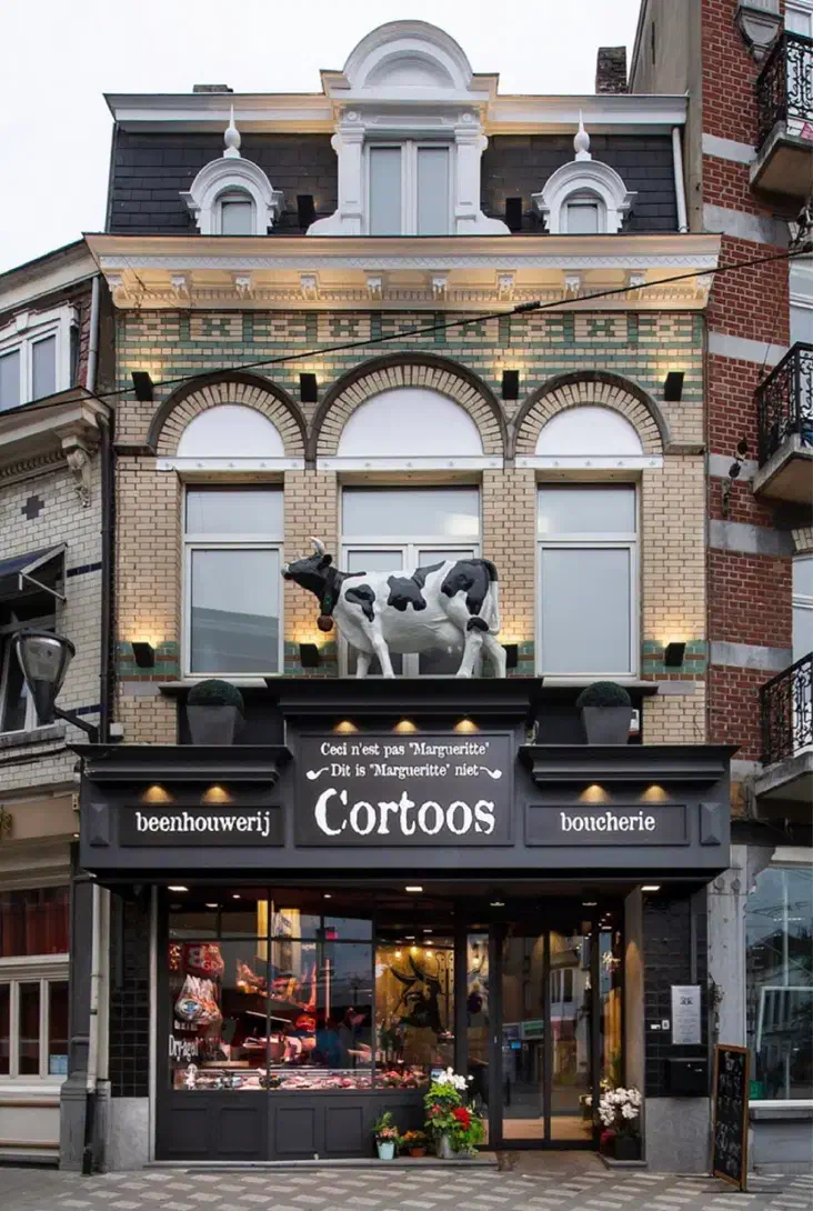 فایبر گلاس|خدمات پیشه و مهارت|زیباکنار, |دیوار