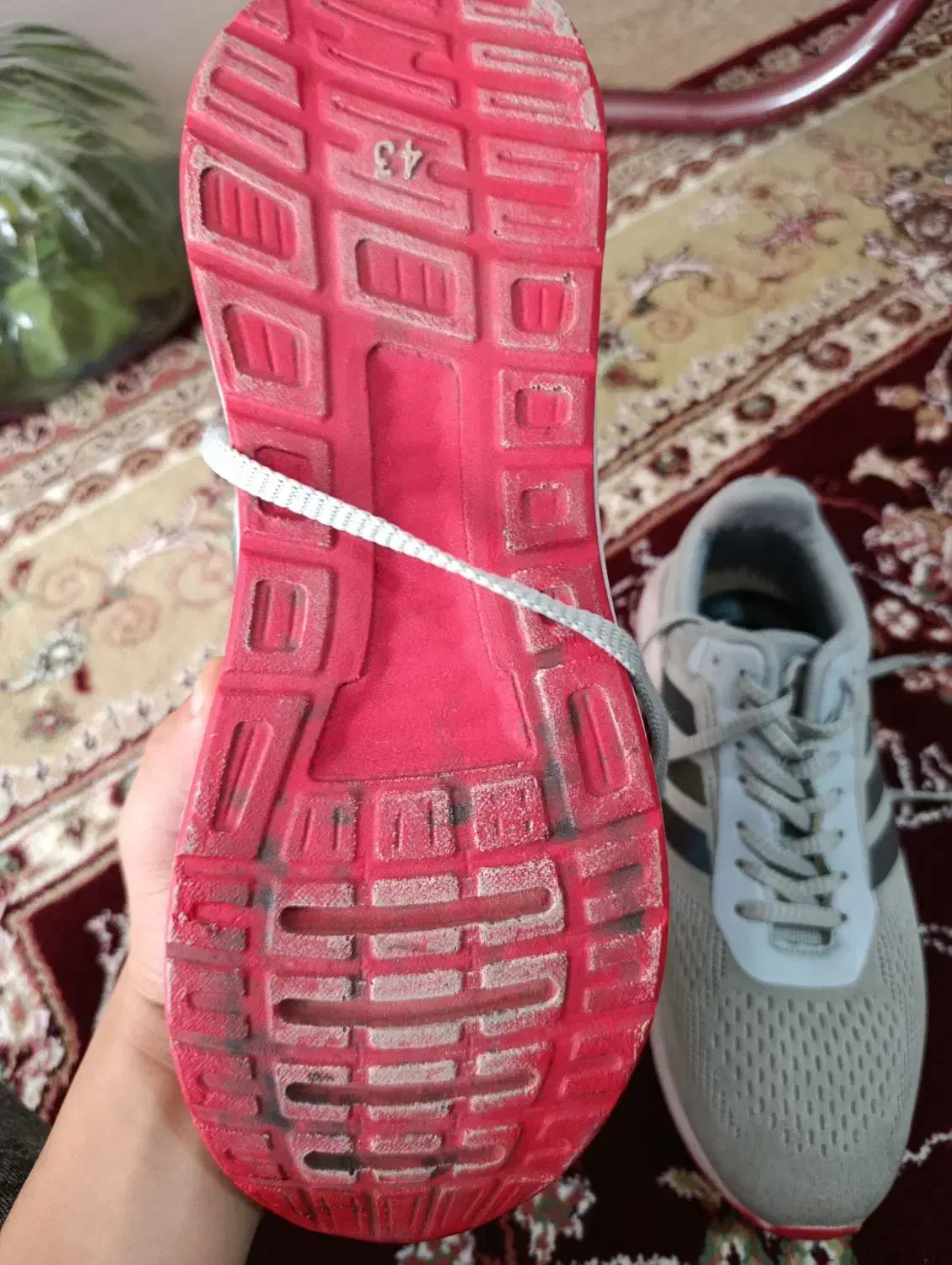 کفش پارچه ای آدیداس|کیف، کفش، کمربند|سراب, |دیوار