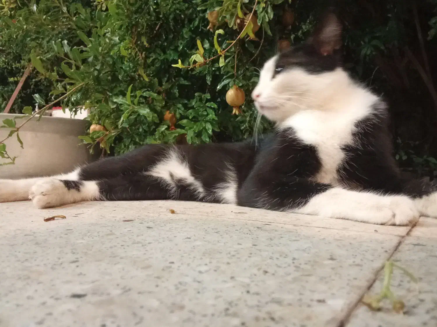 خانه اجاره داده میشه در نوبهار|اجارهٔ خانه و ویلا|قم, نوبهار|دیوار