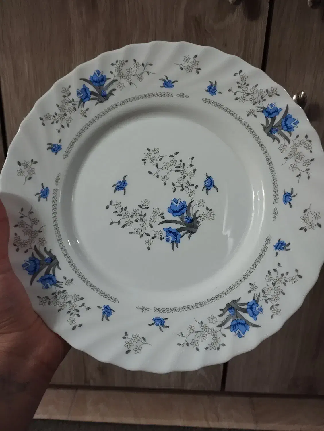 ظرف|ظروف سرو و پذیرایی|تهران, مخصوص|دیوار