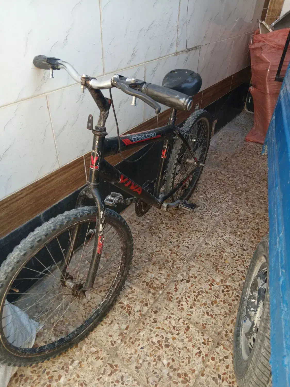 دوچرخ ۲۴فروشی|دوچرخه، اسکیت، اسکوتر|ایذه, |دیوار