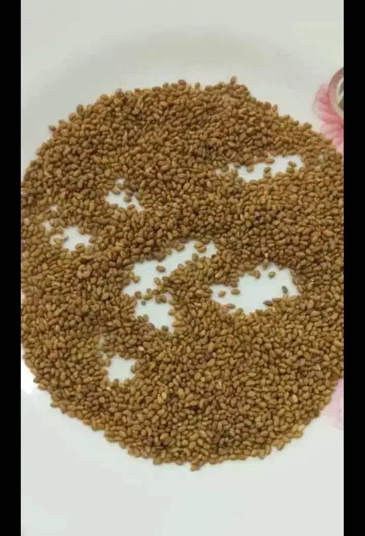 بذر یونجه و کاه جو و کاه گندم و پرس پخل|گل و گیاه طبیعی|چناران, |دیوار