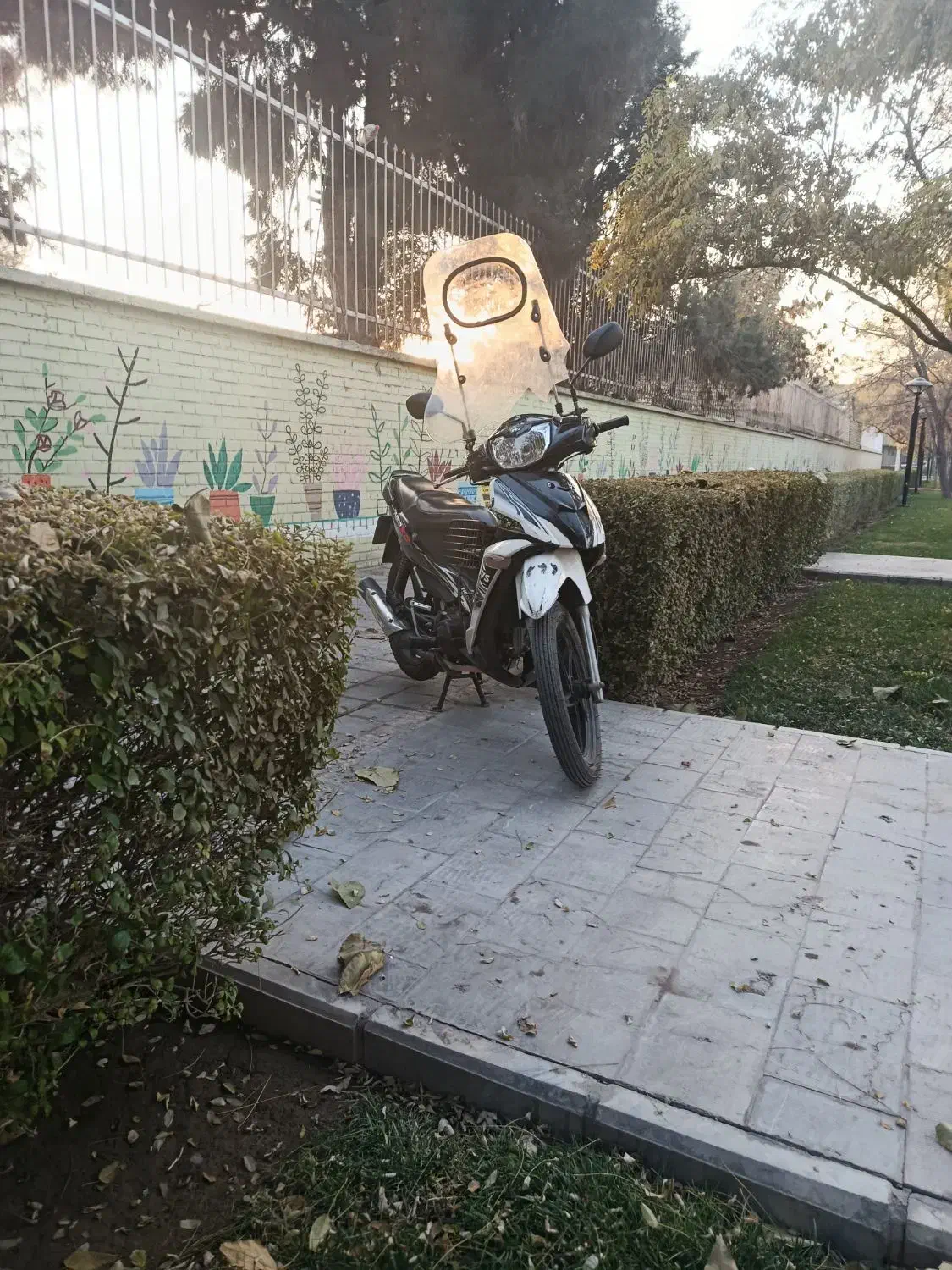 موتور.تی وی اس سالم .هندا کارت و سند|موتورسیکلت|مشهد, گلشور|دیوار