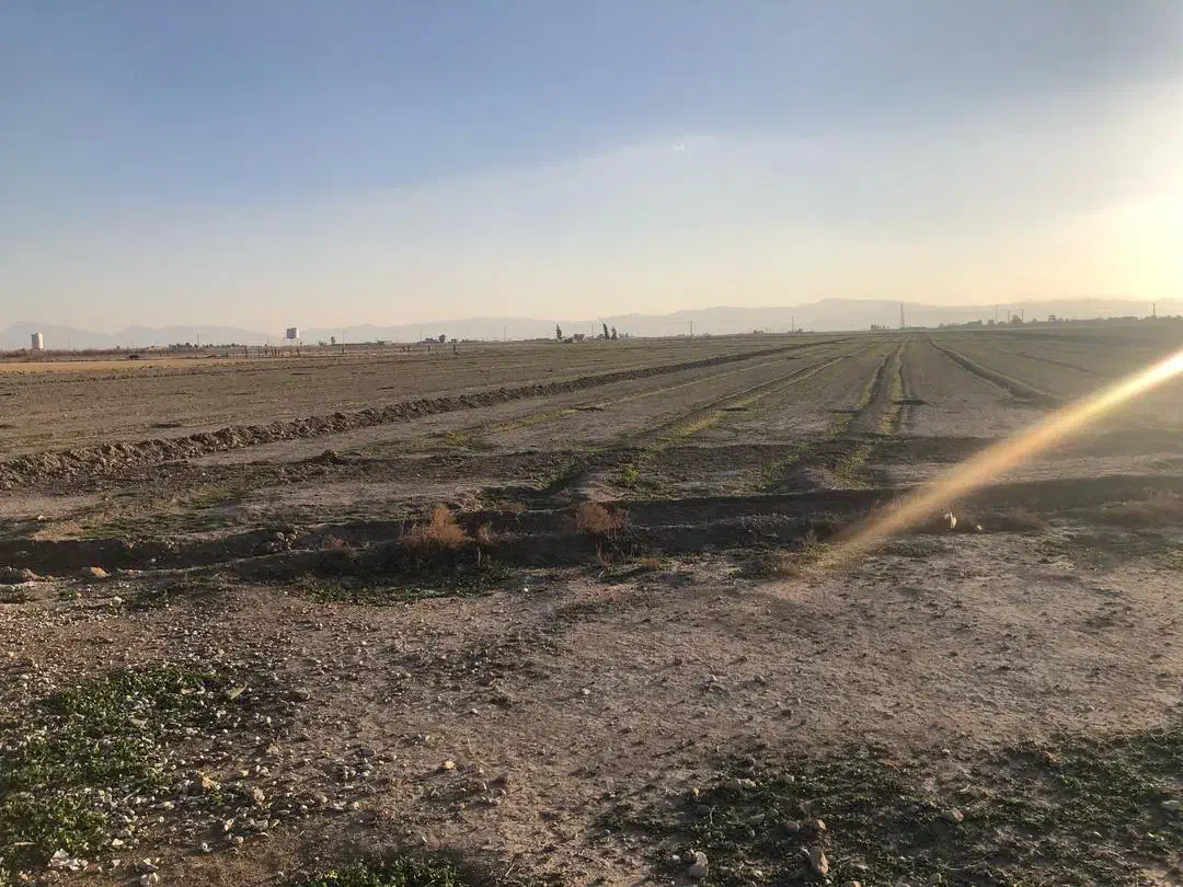 زمین کشاورزی|فروش دفتر صنعتی، کشاورزی، تجاری|مرودشت, محمد آباد|دیوار