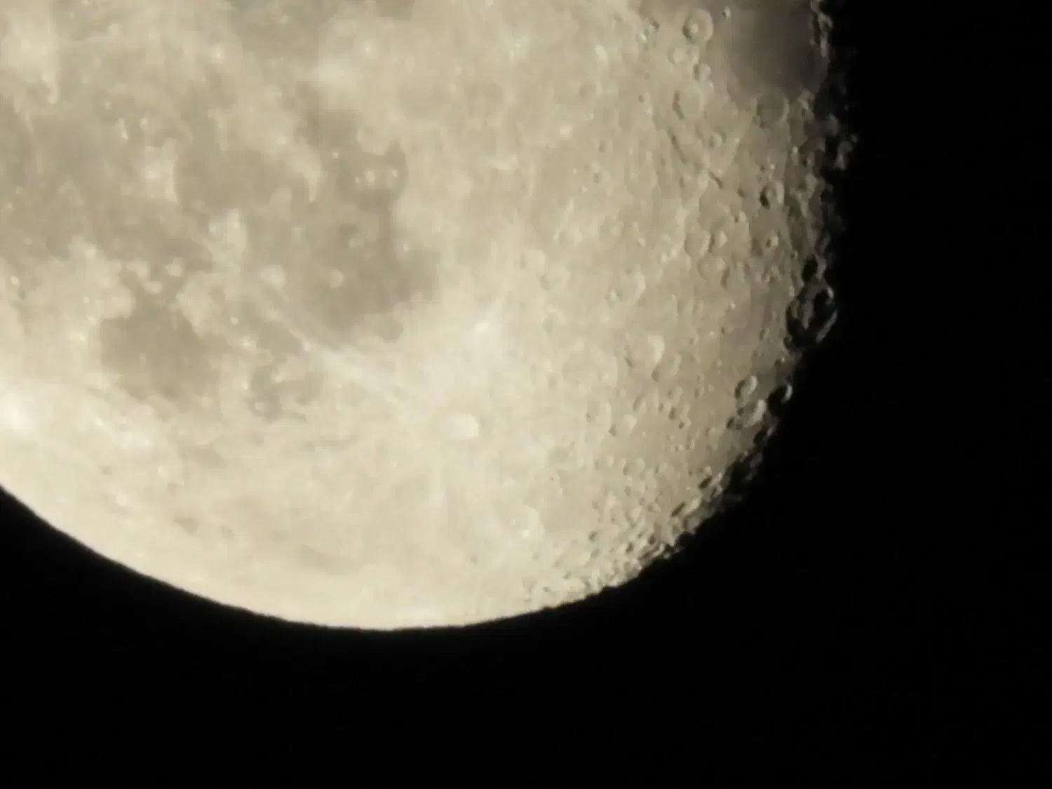 دوربین نیکون b700|دوربین عکاسی و فیلم‌برداری|شیراز, پارک آزادی|دیوار