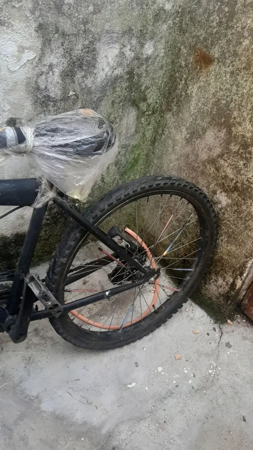 دوچرخه ۲۴|دوچرخه، اسکیت، اسکوتر|رشت, سلیمانداراب|دیوار