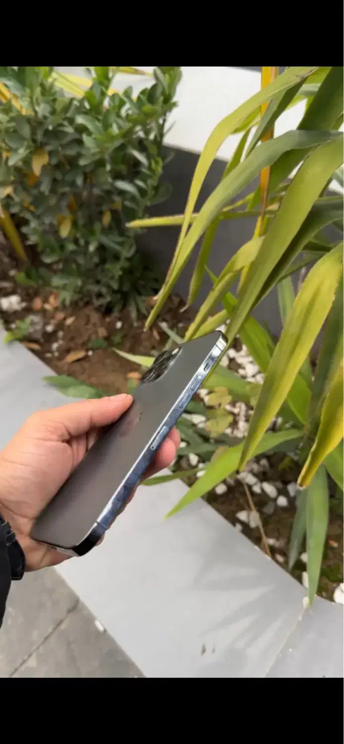 12promax|موبایل|گرگان, |دیوار