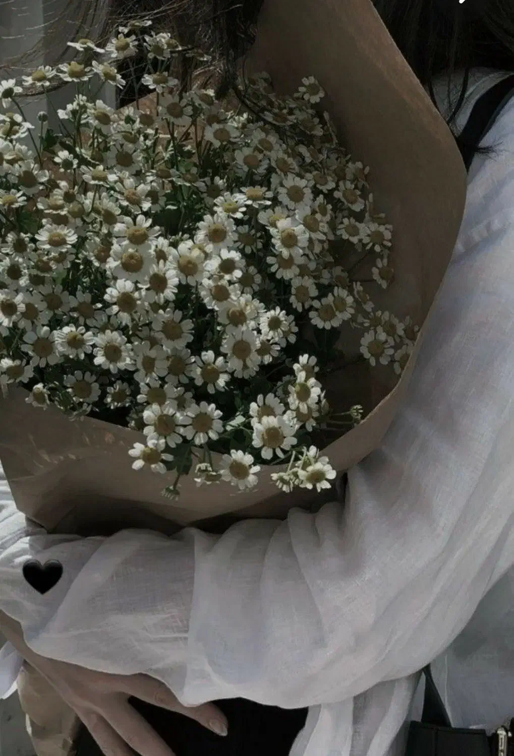 سرویس مدارس|خدمات حمل و نقل|تربت جام, مطهری|دیوار