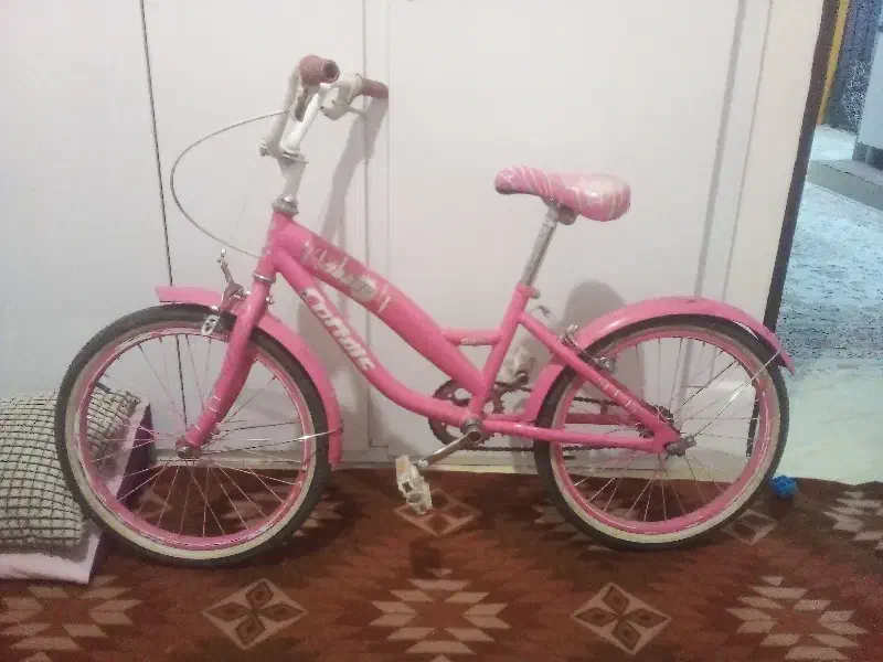 دوچرخه|دوچرخه، اسکیت، اسکوتر|صفادشت, |دیوار