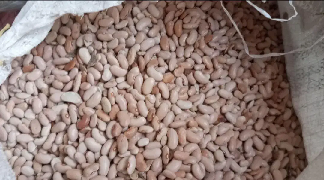 فروش حبوبات|خوردنی و آشامیدنی|رشت, پیرسرا|دیوار