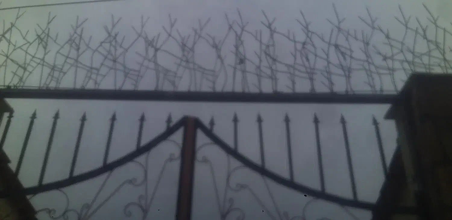 جوشکاری سیار|خدمات پیشه و مهارت|سبزوار, پیروزی|دیوار