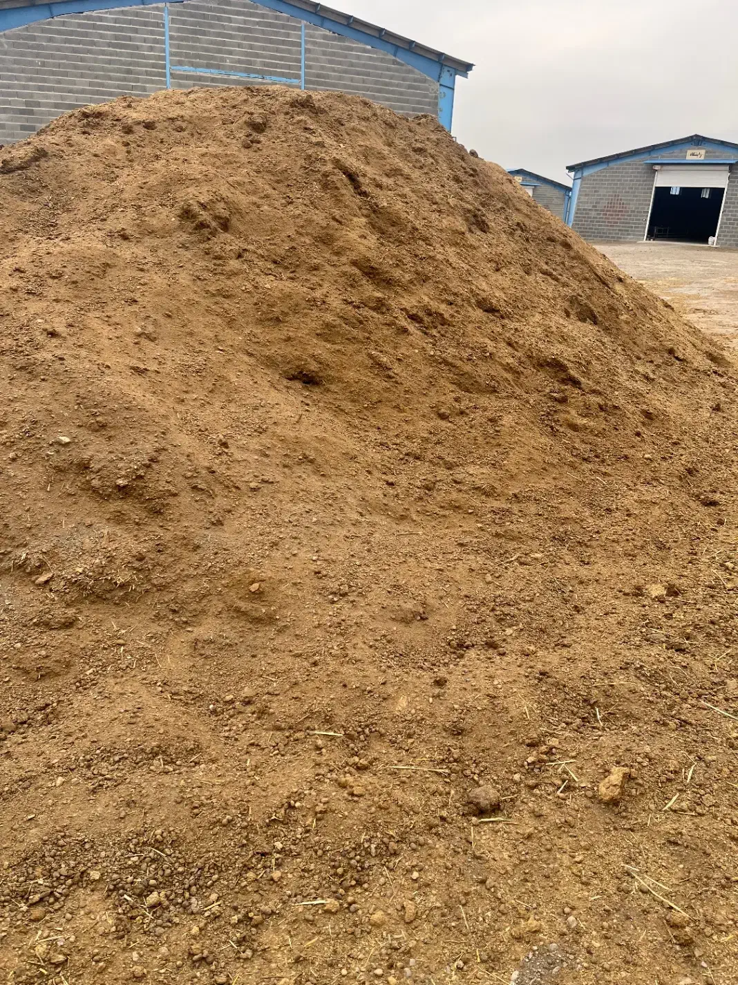 پهن گوسفندی الک شده. ( کود گوسفندی)|خدمات باغبانی و درختکاری|نمین, |دیوار