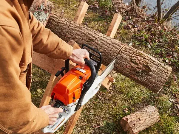 برش با اره برقی|خدمات باغبانی و درختکاری|میناب, |دیوار