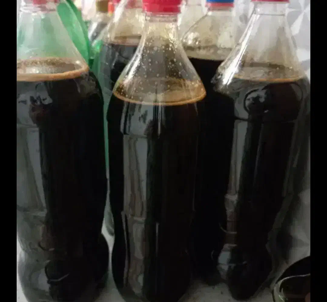 شیره انگور و باسلوق|حراج|قم, دورشهر|دیوار