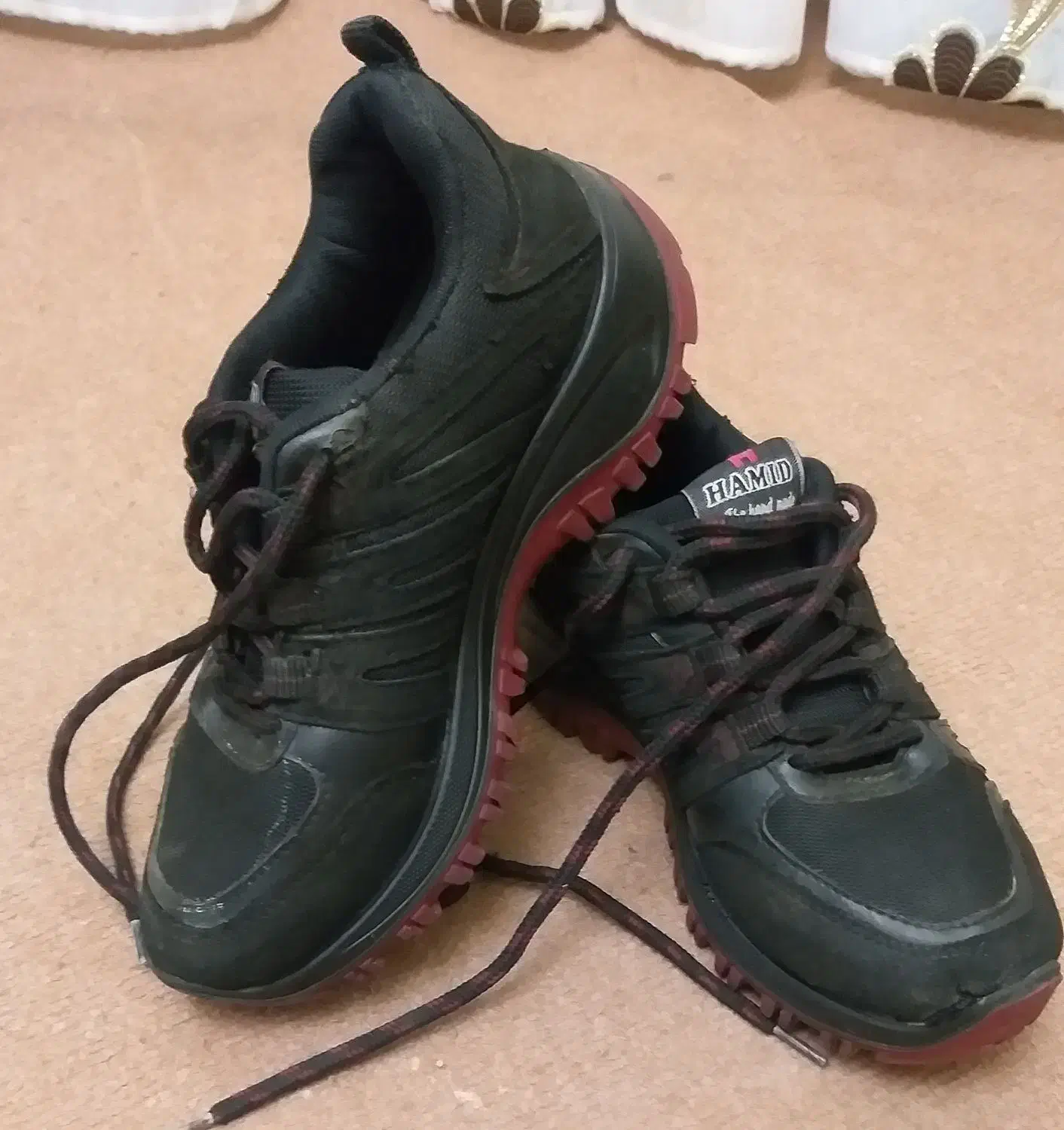 ۶  عدد  کفش  دو  عدد  کیف   نو  هستند|کیف، کفش، کمربند|تبریز, |دیوار