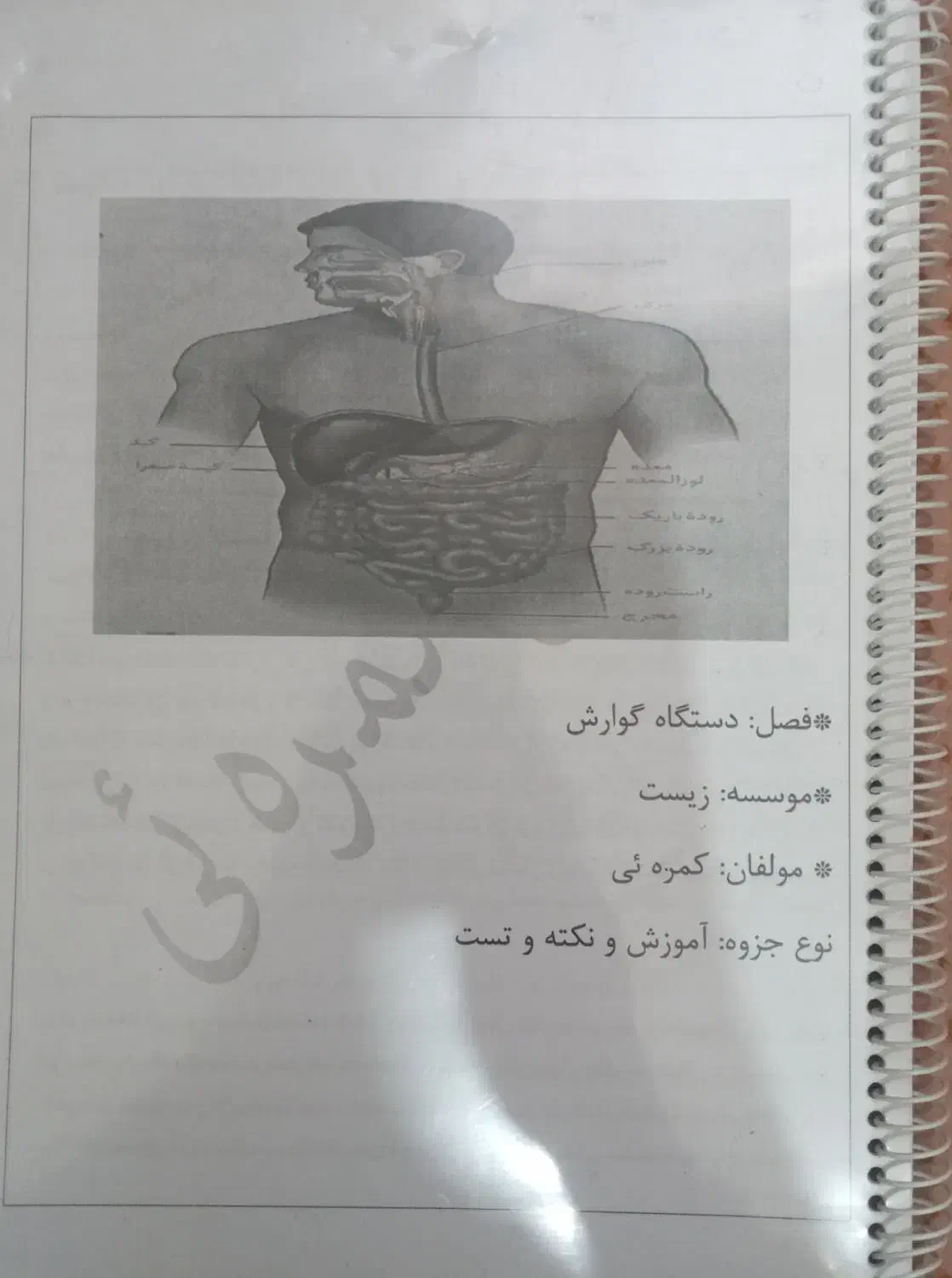 جزوه|کتاب و مجله آموزشی|پرند, فاز ۱|دیوار