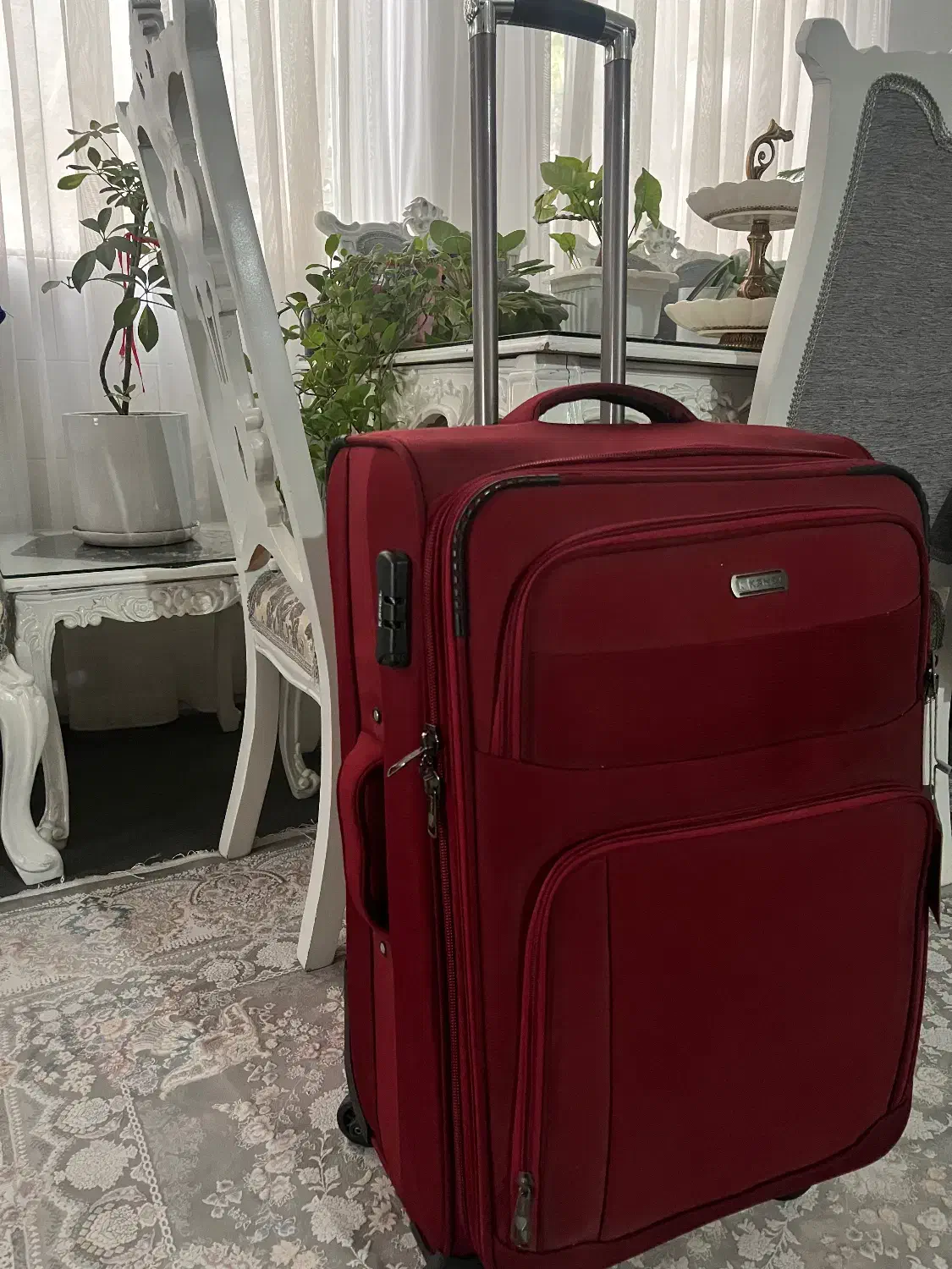 چمدان نو|کیف، کفش، کمربند|اراک, |دیوار