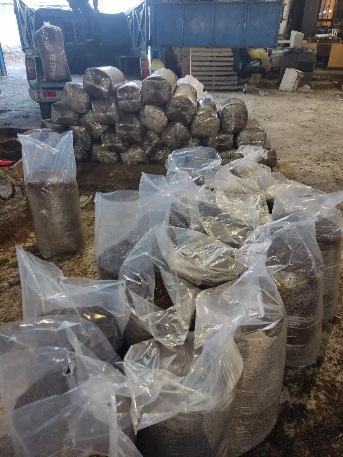 تفاله ی خرما|لوازم جانبی حیوانات|ارومیه, |دیوار