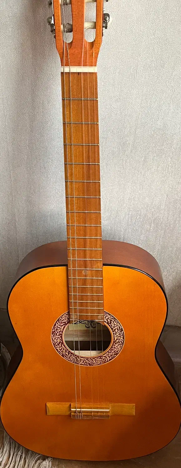 گیتار|گیتار، بیس، امپلیفایر|شیراز, غدیر جنوبی|دیوار