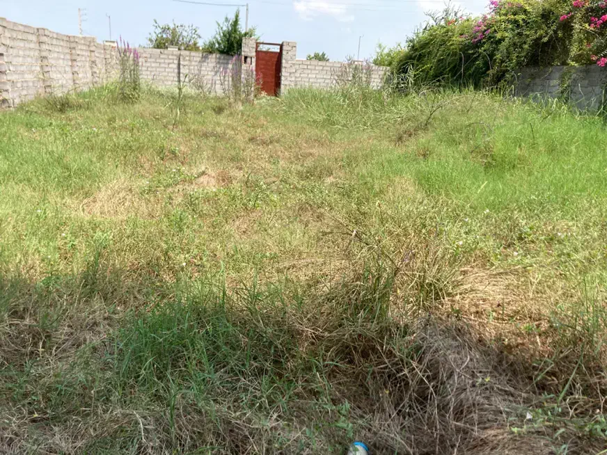 اجاره زمین۴۰۰متر جاده دریابرای گلخانه و انبار و|اجارهٔ دفتر صنعتی، کشاورزی، تجاری|ساری, |دیوار