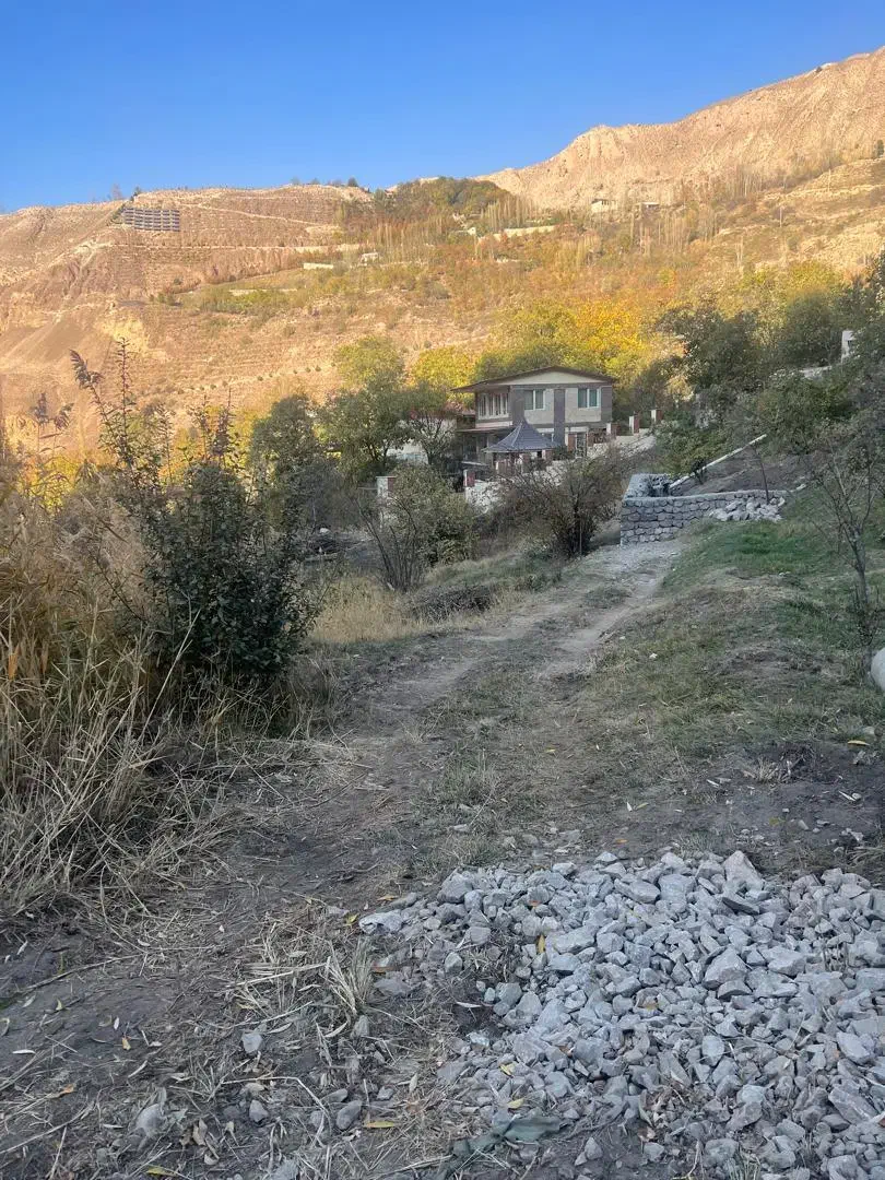 ۲۵۰ متر زمین داخل بافت در جاده هراز آب وهوای خنک|فروش زمین و ملک کلنگی|گزنک, |دیوار