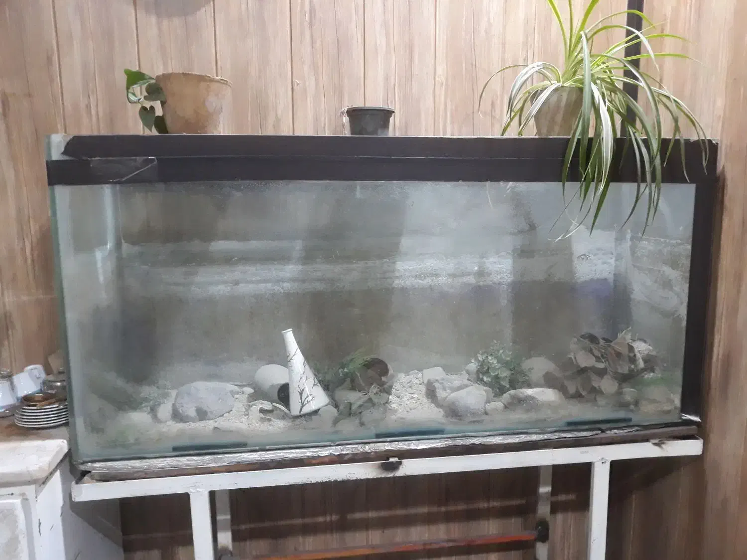 اکواریوم شیشه سکوریت چسب خارجی ۷۰ سانت در ۱۵۰|لوازم جانبی حیوانات|بجنورد, |دیوار