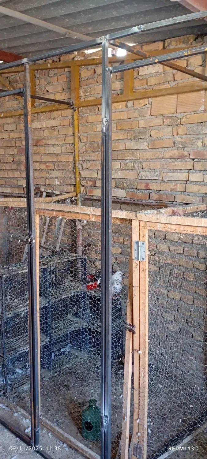 جوشکاری ساخت قفس پرنده|خدمات پیشه و مهارت|گرگان, |دیوار