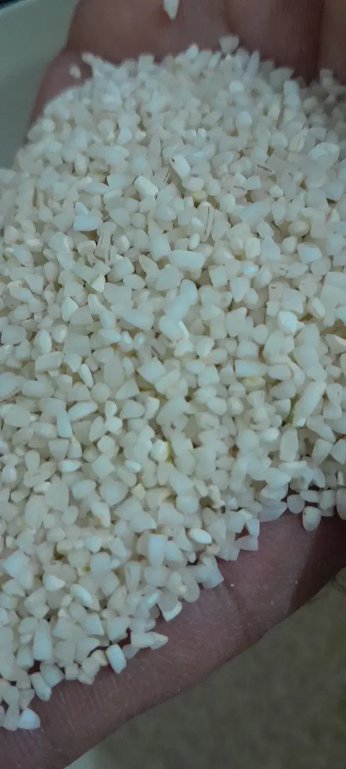 برنج نیم دونه عنبربو خوش عطر و خوش طعم|خوردنی و آشامیدنی|ماهدشت, |دیوار