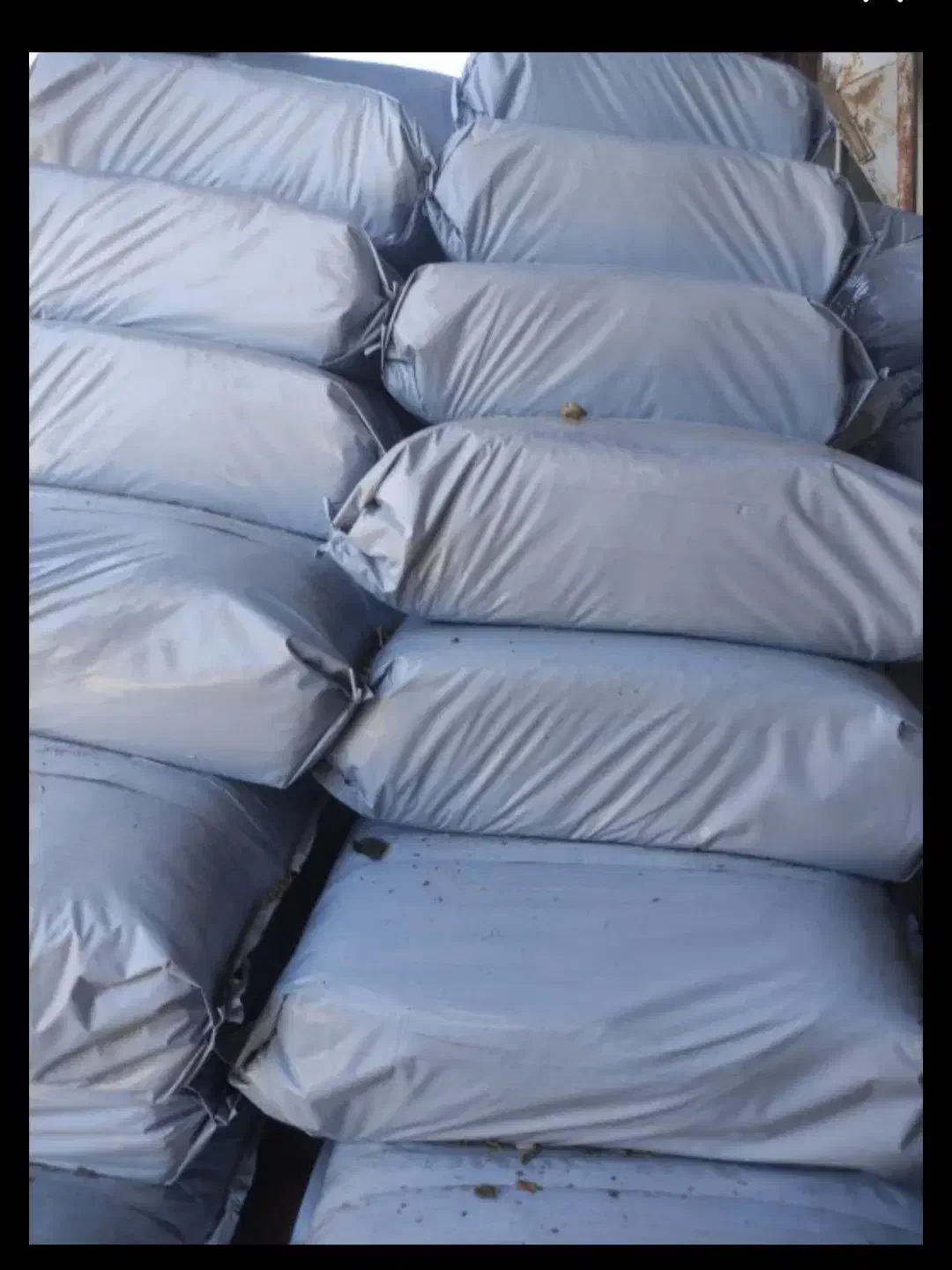 حراج ذرت علوفه بسته بندی برای گاو و گوسفند|عمده‌فروشی|میانه, |دیوار