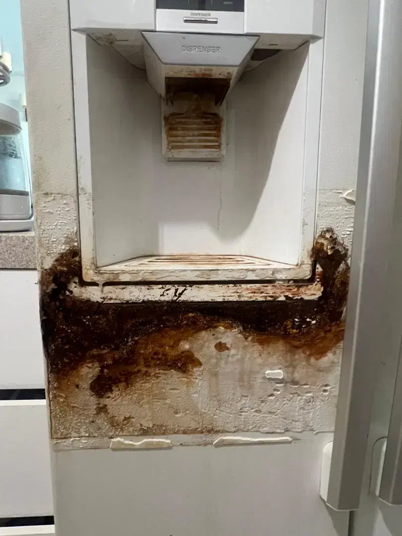 رنگ یخچال واجرایی پوسیدگی|خدمات پیشه و مهارت|ساری, |دیوار