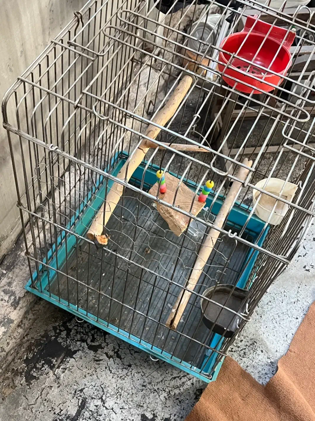 قفس طوطی|لوازم جانبی حیوانات|ری, دیلمان|دیوار