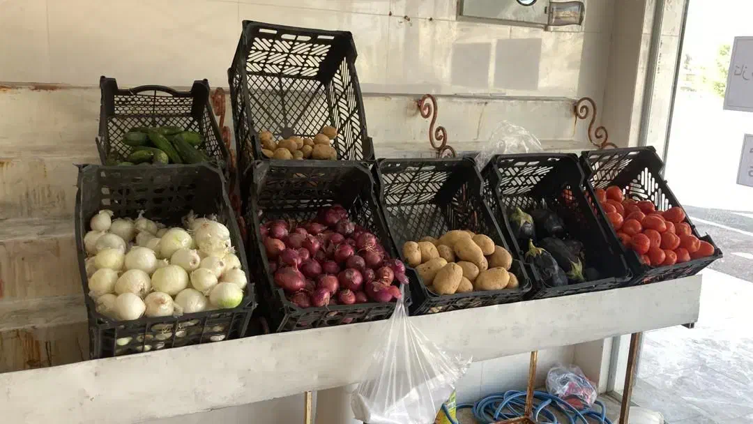 قفس میوه|فروشگاه و مغازه|اهواز, پردیس دو|دیوار