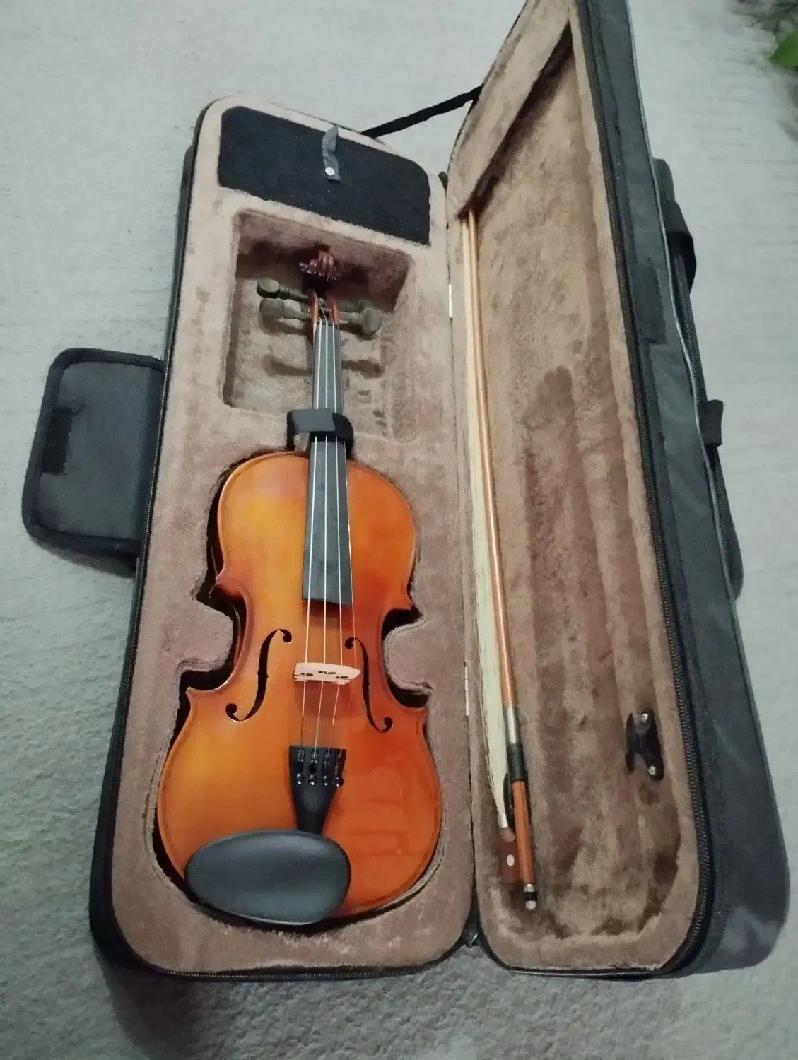 ویالون نو استفاده نشده|ویولن|آستارا, |دیوار