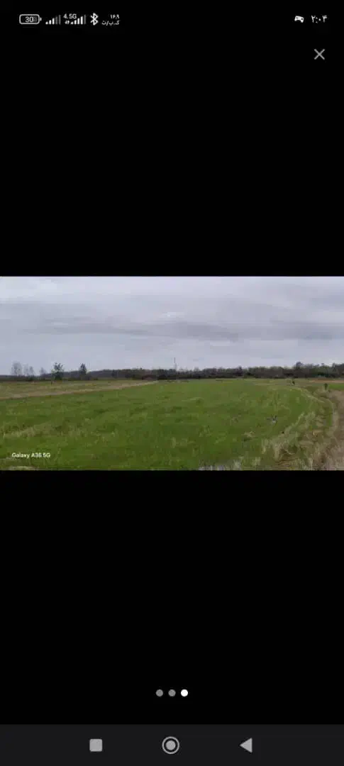 فروش زمین برنج شالیزار یا با معاوضه با خودرو|فروش زمین و ملک کلنگی|چاف و چمخاله, |دیوار