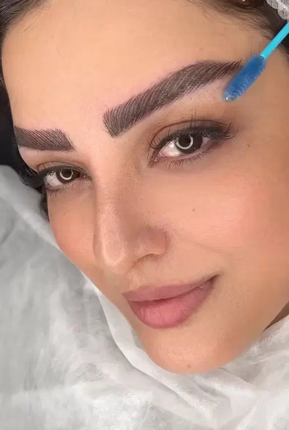 شیدینگ لب،کاورتتوی قدیمی،فیبروز ابرو،بن مژه،میکرو|خدمات آرایشگری و زیبایی|رشت, گلسار|دیوار