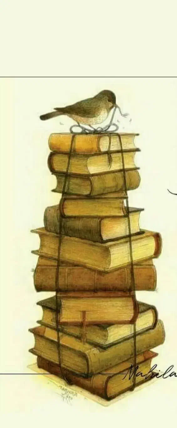 موسسه استعداد یابی رهرو دانشگاه  برگزار میکند|خدمات آموزشی|یزد, |دیوار