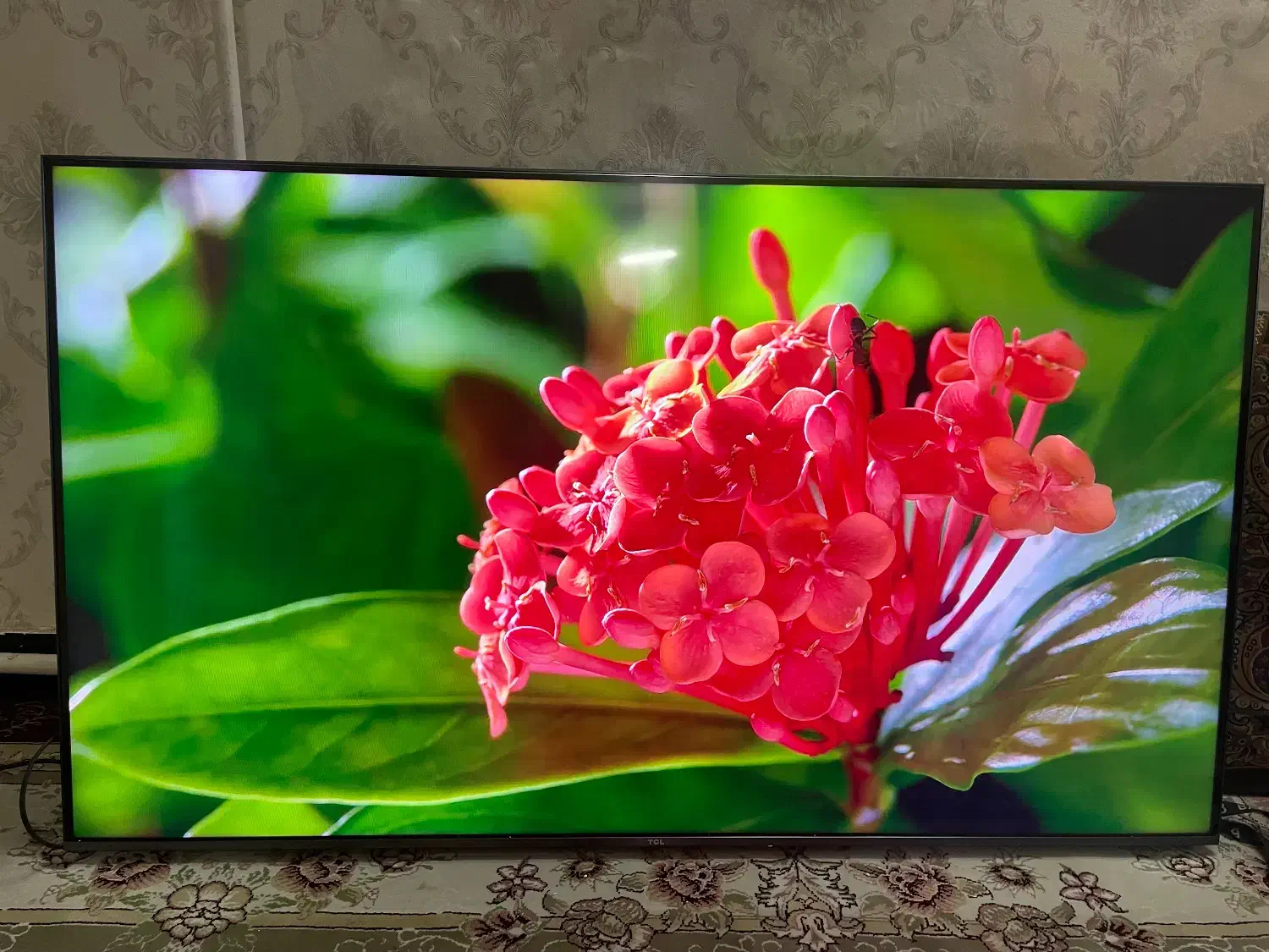 ۵۵ تی سی ال tcl استوک نمایشگاهی فول امکانات|تلویزیون و پروژکتور|تهران, ترمینال غرب|دیوار